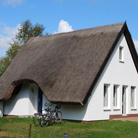 Doppelhaushaelfte In Vitte Auf Hiddensee Extérieur photo