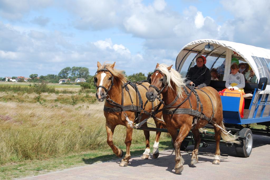 Doppelhaushaelfte In Vitte Auf Hiddensee Extérieur photo